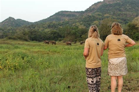 wildlife conservation volunteering abroad